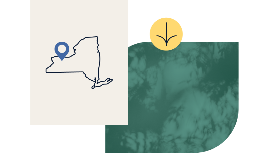 Download icon with a green background and a state outline